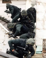 sas