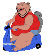 AmerimuttScooter