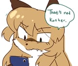 averi not kosher