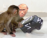 monketoy