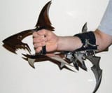 shark-knife