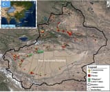 Chinesecamps