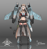 Su-30MKK_dishwasher1910