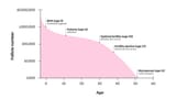 Female_fertility
