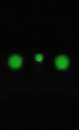 Unidentified Aerial Phenomenae