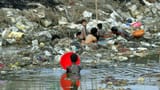 _95457686_gettyimages-165256932[1]