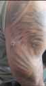 1696538132202114_thumb.jpg