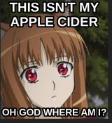 1748704588278634