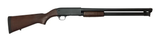 ithaca_37