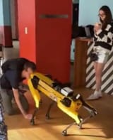 robotdog