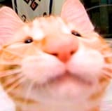 427936