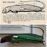 ratbomb