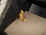 DSCN1679rsz