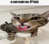 57554973aad23bef9adc2400e8ed57211bec96d6121b7d6758866ce41eb1695b_1.jpg