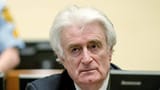karadzic1