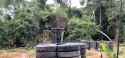 footage_showing_royal_thai_army_drones_dropping-2thlla9l5uef1-360_thumb.jpg
