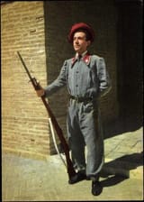 Palantine Guard