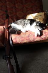 M1917_und_Maus-er