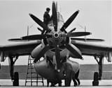 gannet aew