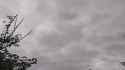 rapidsave.com_the_royal_thai_army_is_using_suicide_drones-tcz0hwxw8zef1(1)_thumb.jpg