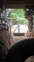 rapidsave.com_thai_forces_used_a_us_made_81mm_m29_mortar_with-mcr5gpiq4zef1(1)_thumb.jpg