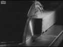 mosquito factory-1_thumb.jpg