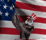 america-flag