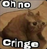 the-original-oh-no-cringe-cat-image-v0-x23qrkj8pb4f1