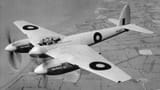 Hornet