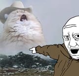 Prigo that damn cat