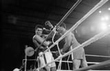 rope-a-dope
