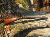 Harcourt_Coach_Gun_zo-1920w_jpg_92