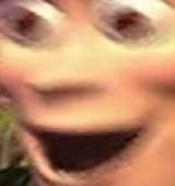 1744742520021155
