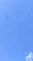 artisanal drone dropped AP mine_thumb.jpg