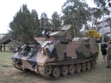 M113 1719535778468306