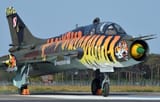 104690_su22tigercwzl2_127080_crop