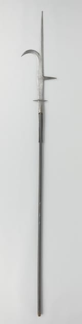 Paardenschender_of_gleve,_NG-KOG-838
