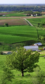 spring-in-the-mississippi-river-valley-panoramic-images