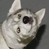 1741837568769836