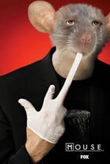 more-mouse-bites-v0-zl49zh2mb6qe1.jpeg