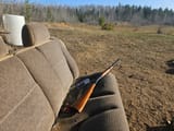 Ithaca M-49