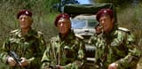 wildgeese