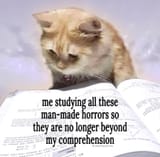 Man made horrors study cat