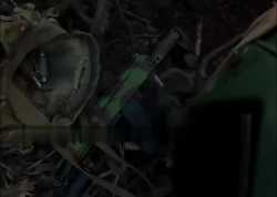 Thread 64065431 OP Image