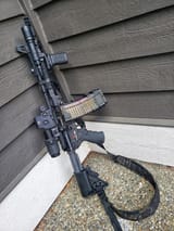 LMT1