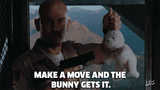 conairbunny