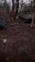 VID_20250112_193926_486 (1)_thumb.jpg