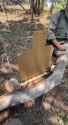 tinman_thumb.jpg
