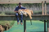 tiger-king-2-scaled
