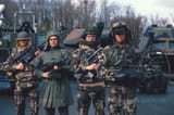 French Felin Armor Set 2